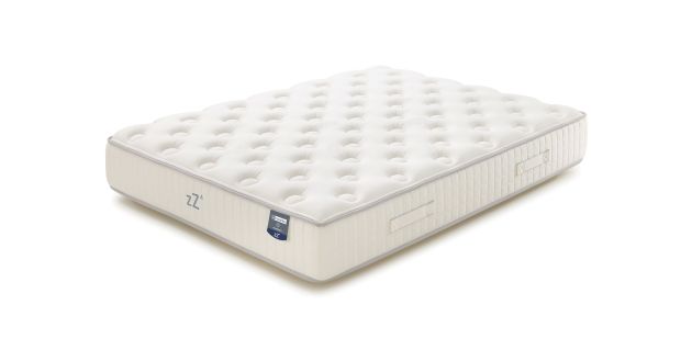 zZ4 Medium Multisense